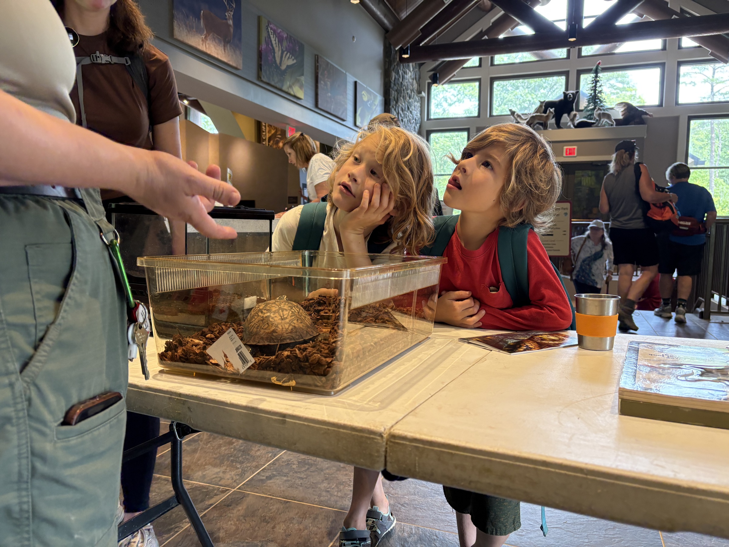 Naturalist-Kids-Turtle